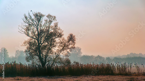Obraz na płótnie Piękno zimowego krajobrazu w dolinie rzeki Narew, Podlasie, Polska w salonie