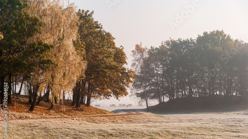 Obraz na płótnie Piękno zimowego krajobrazu w dolinie rzeki Narew, Podlasie, Polska w salonie