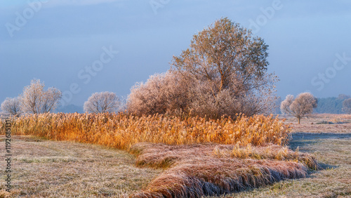 Piękno zimowego krajobrazu w dolinie rzeki Narew, Podlasie, Polska