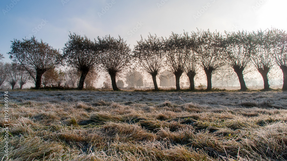 Piękno zimowego krajobrazu w dolinie rzeki Narew, Podlasie, Polska