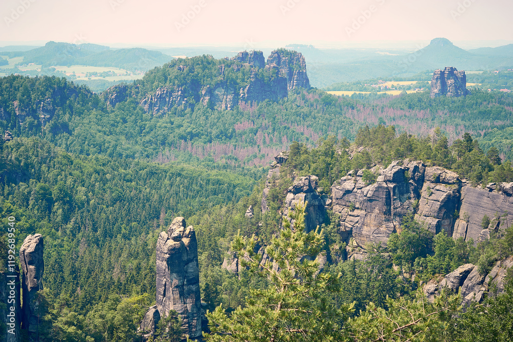 Fototapeta premium Häntzschelstiege in der Sächsischen Schweiz, Deutschland