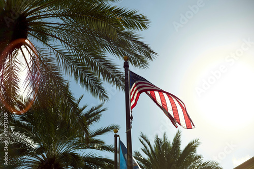 American flag waving against a sunny sky framed by palm tree leaves, New Orleans, USA photo