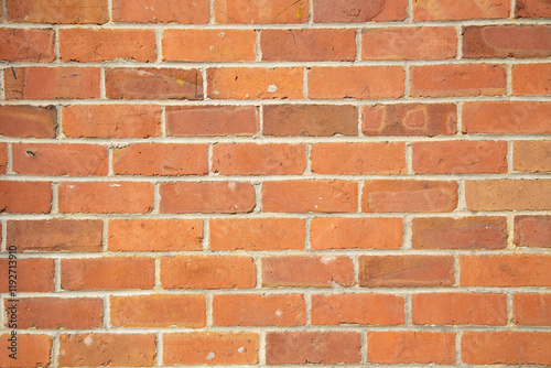 Orange brick wall with a classic staggered pattern and visible mortar joints, Auckland, New Zealand