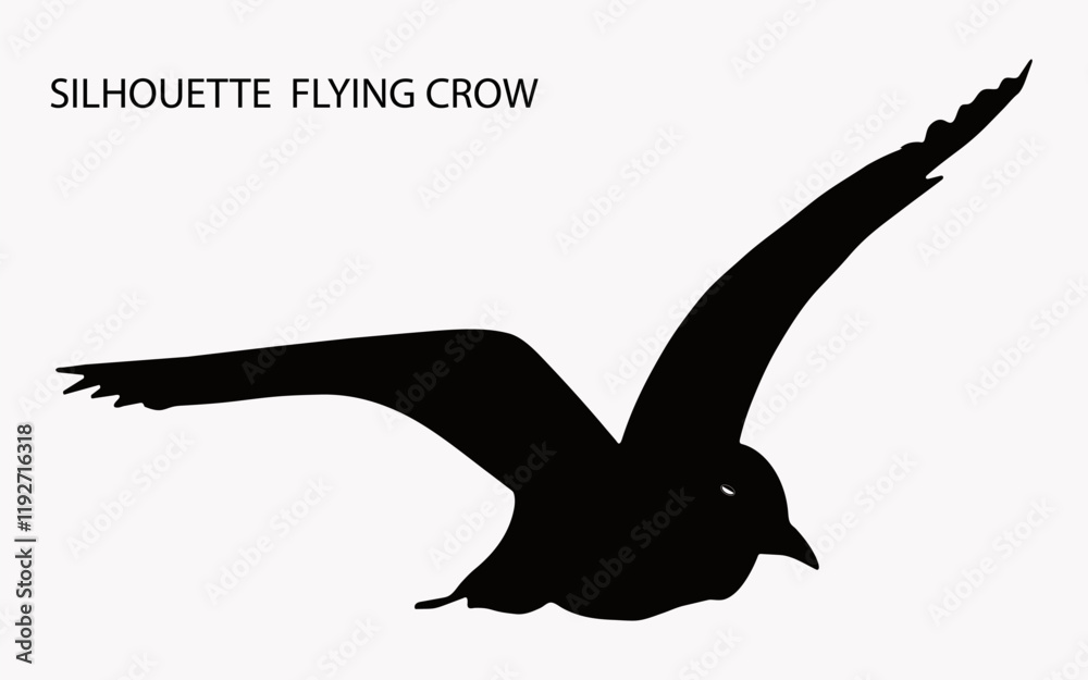 Fototapeta premium Silhouette Crow Vector Design with White Background. Flying Crow Vector Design.