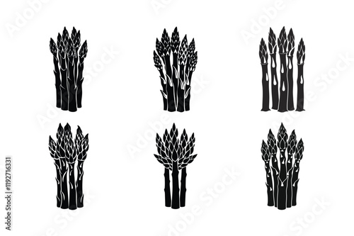 Asparagus (Asparagus officinalis) design, labeled silhouette vector illustration