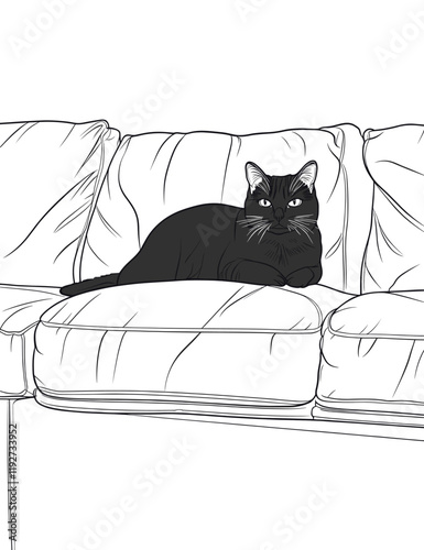 Black cat resting on a comfy couch with white backdrop.