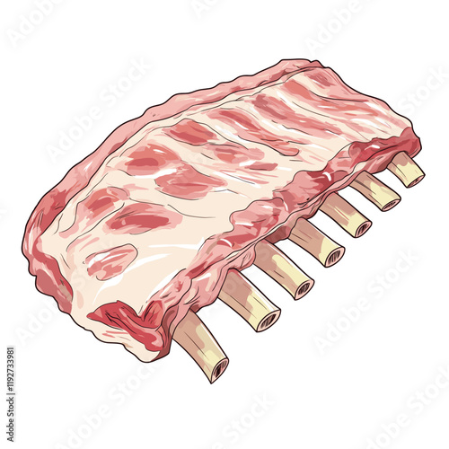 Detailed illustration of raw pork ribs with exposed bones
