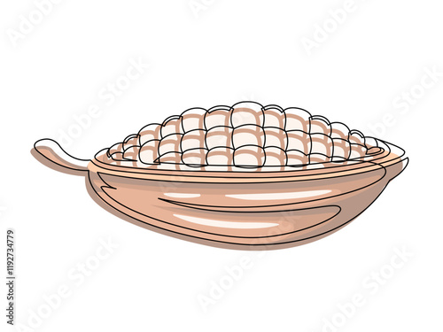 Brown cacao beans plant line isolated on white background. Simple silhouette of vegetable. Hand drawn cacao beans plant outline. Vector illustration