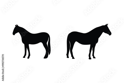 Black horse silhouette