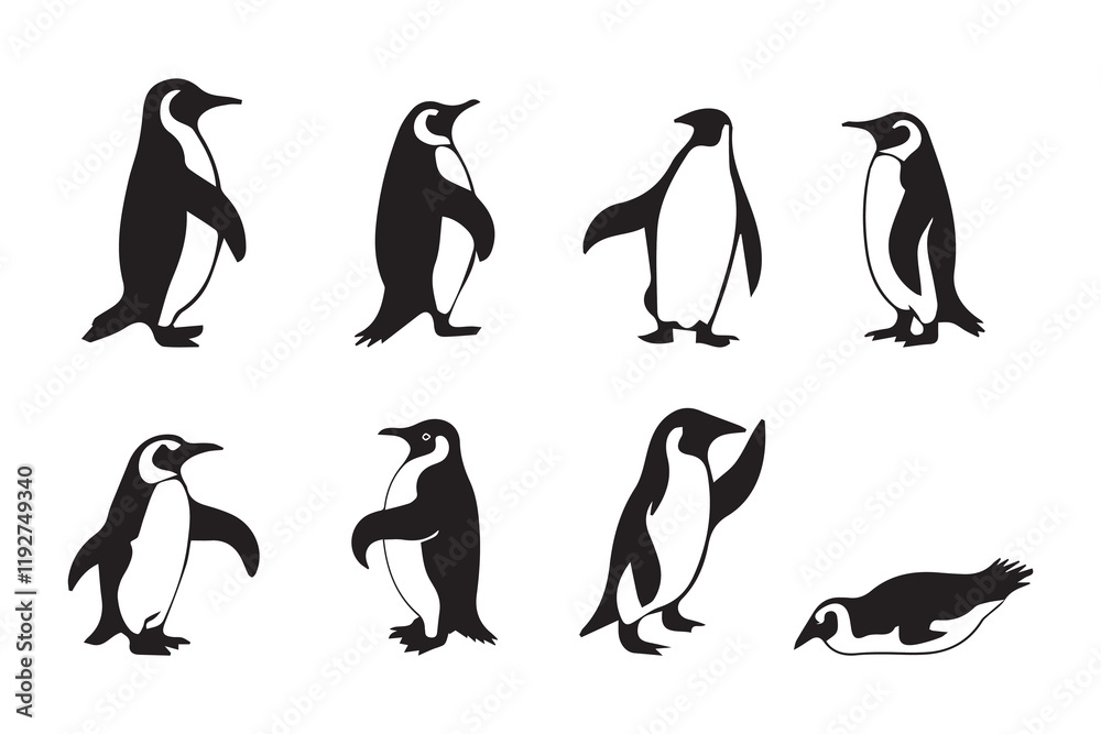 Obraz premium Penguin silhouette and vector bundle