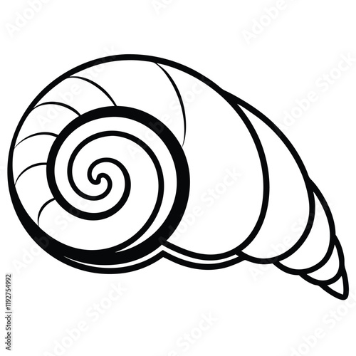 illustration of snail shell
