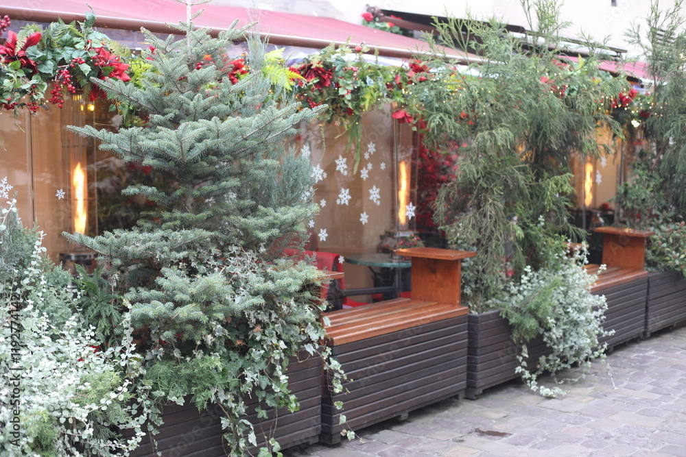 Fototapeta premium christmas tree in front of a house