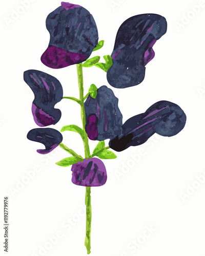 Botanical name: Aconitum napellus - Monkshood - Wolf's Bane Plant - Ink Art - Colored ink - hand painted