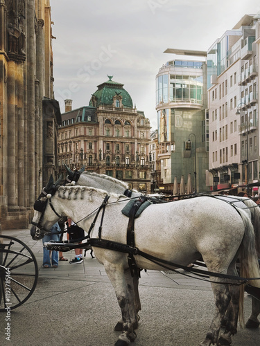 Historic horse-drawn carriage in the streets of Vienna, Austria