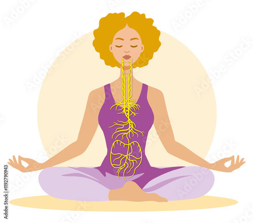 Vagus nerve, parasympathetic, meditation, woman, medically illustration