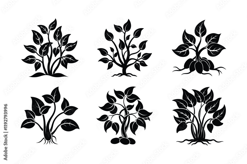 Bean Sprouts (Vigna radiata) design, labeled silhouette vector illustration Bean Sprouts (Vigna radiata) design, labeled silhouette vector illustration