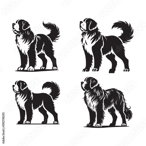 Monochrome Vector Silhouettes of the Saint Bernard Dog Standing Isolated on a White Background