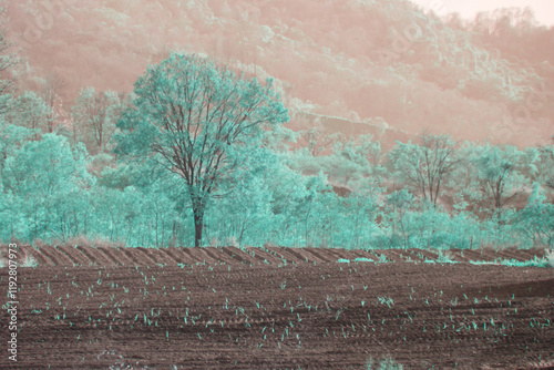 Infrared photography, a landscape featuring rolling hills in the background and a field in the foreground. The trees and vegetation appear in a greenish-blue hue