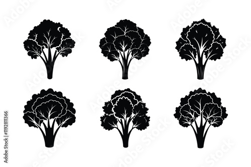 Broccoli Rabe (Brassica rapa subsp. rapa) design, labeled silhouette vector illustration