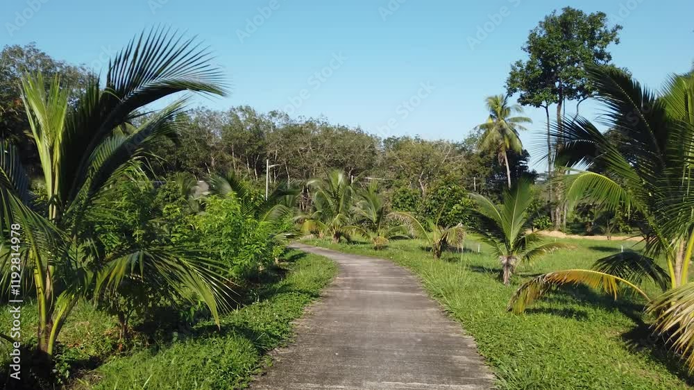 Walking around the resort on an exotic island. Tropical plants and climate. Walking around the resort on an exotic island. Tropical plants and climate.