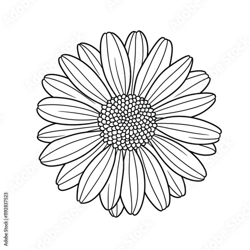 flower coloring pages daisy for kids