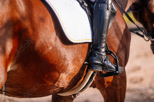 Teenager in classical dressage gear on horseback photo