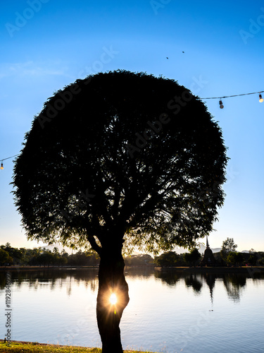 Sukhothai's Light and Shadow: Tree of Hope