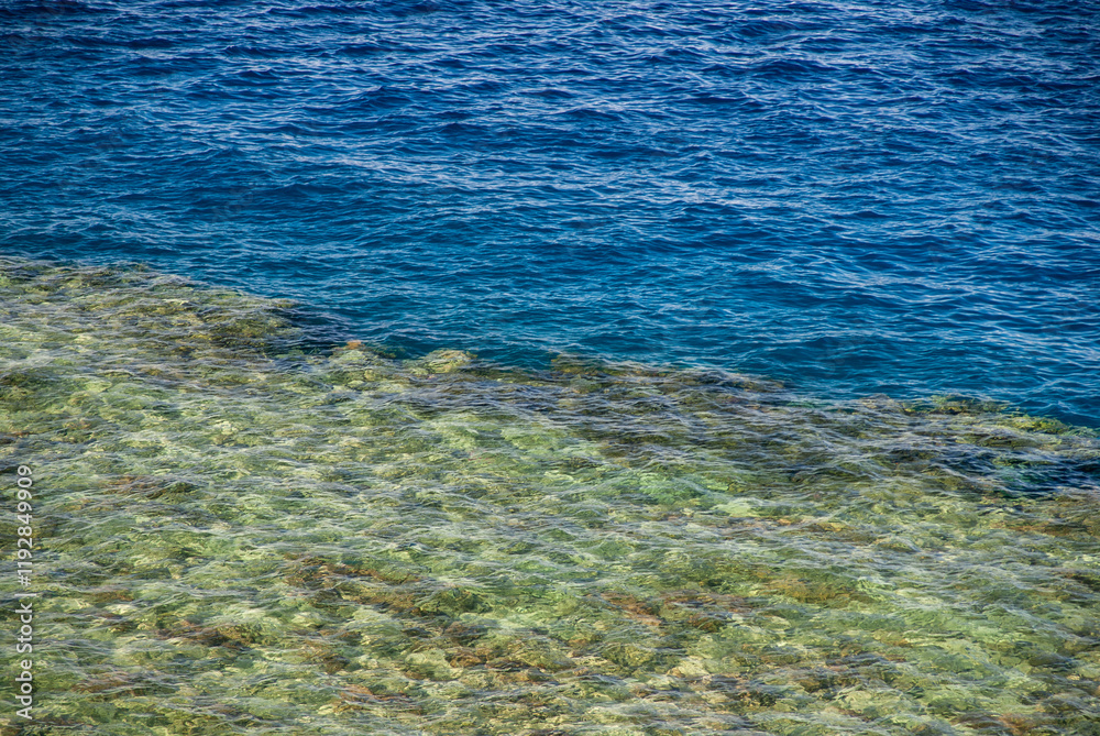 Fototapeta premium Transparent turquoise water of Red Sea on beach of Naama Bay hotel. Close-up. Sea is completely calm. Atmosphere of calm and relaxation.