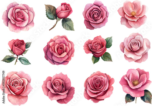 seamless pattern with roses