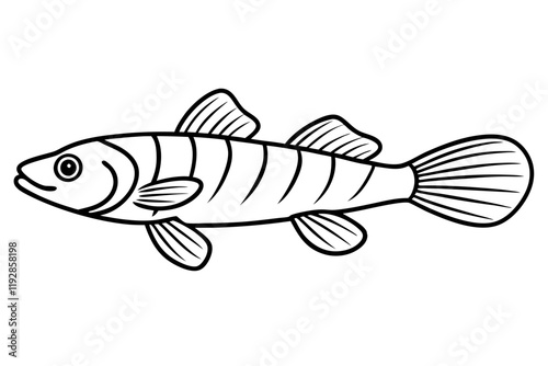 Goby Fish Vector Line Art Design | Marine Life Vector Illustration photo