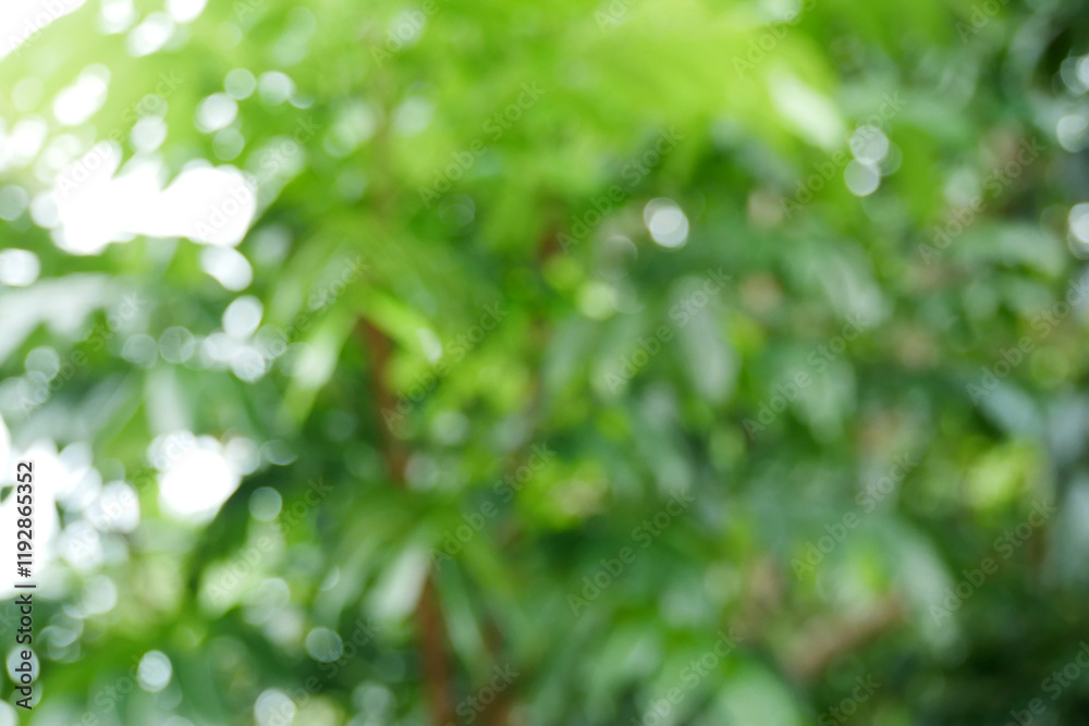 Abstract green bokeh background, Blurred background Abstract green bokeh background, Blurred background
