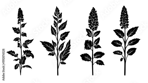 Amaranth tiled design, Amaranth repeating background illustration