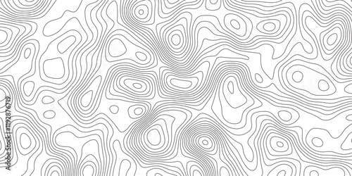 Abstract Topographic contour map. Vector cartography illustration. Abstract lines background. Line topography map contour background concept of a conditional geography scheme and the terrain path. photo