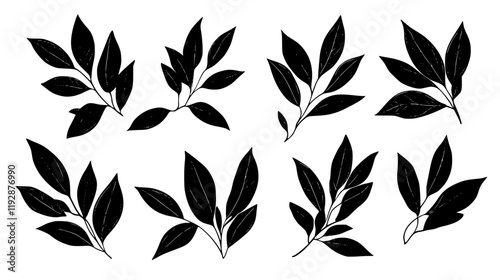 Collection of Bay leaves, food vector art