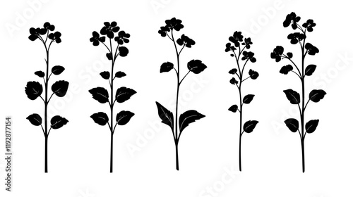 Collection of Buckwheat icons, Buckwheat vectorized seamless pattern
