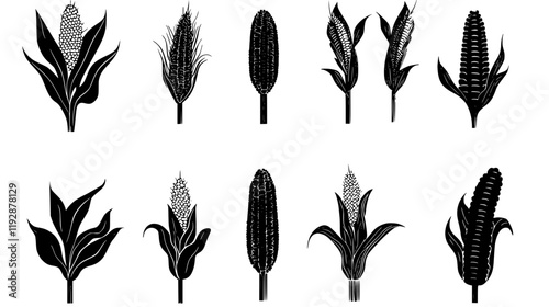Collection of Corn, food vector art