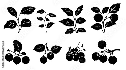 Collection of Cranberry, food vector art
