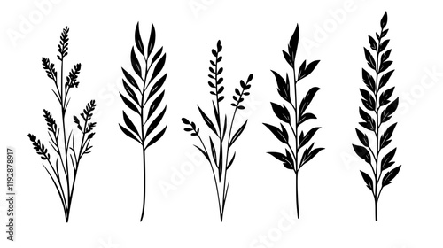 Collection of Freekeh, food vector art
