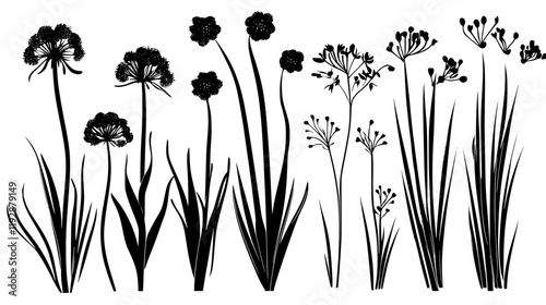 Collection of Garlic Chives icons, Garlic Chives vectorized seamless pattern