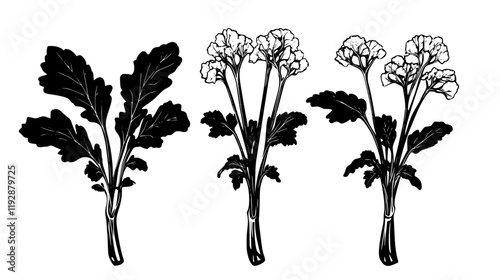 Collection of Horseradish icons, Horseradish vectorized seamless pattern