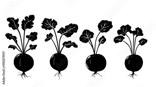Collection of Kohlrabi continuous icon pattern, Kohlrabi vectorized artwork