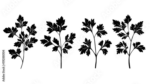 Collection of Lovage, food vector art