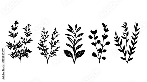 Collection of More Herbs, food vector art