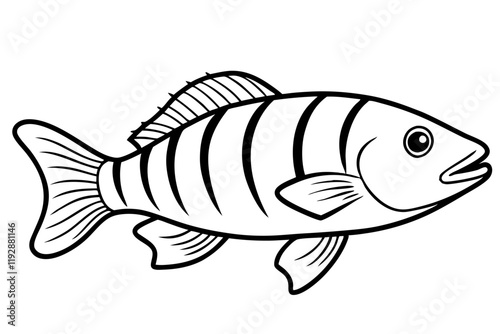 Wrasse Fish Vector Line Art Design | Marine Life Illustration photo