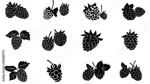 Collection of Raspberry icons, Raspberry vectorized seamless pattern