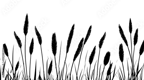 Collection of Triticale, food vector art