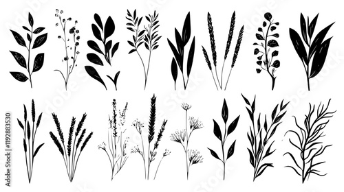 Collection of Wheat, food vector art
