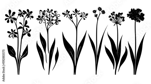 Collection of Wild Garlic, food vector art