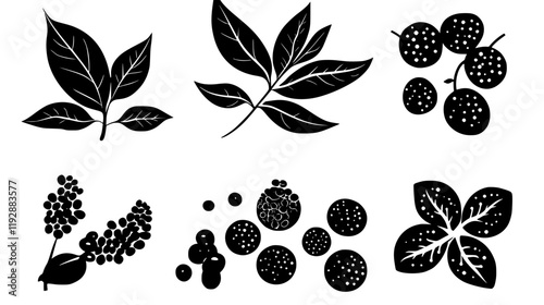Collection of White pepper, food vector art