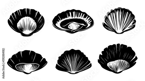 Collection of Baked Stuffed Clams, vectorized food design